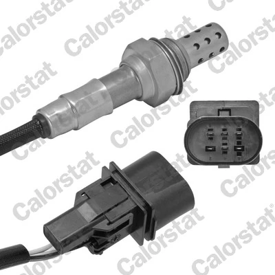 Oxygen Sensor